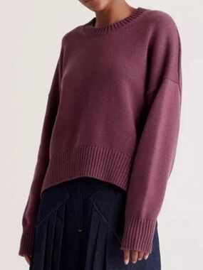 Quince 100% Organic Cotton Boyfriend Crew Neck Sweater In Eggplant Size L